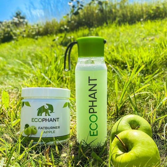 EcoPhant Premium Trinkflasche 550ml BPA-frei